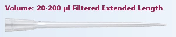 MBP���L���^